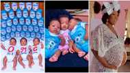 "My dream kids": Mother of triplets shows 35 tins of milk consumed by the babies in 3 months, video trends