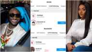 Cruise masters, we are waiting for wedding invitation: Davido and Chioma follow each other again, fans react