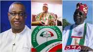 APC mocks PDP as Alpha Beta ex-MD endorses Tinubu after fraud allegation, sends disturbing message to Atiku