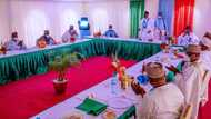 2023: Buhari finally reveals his position on endorsement of political aspirants