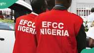 Lagos court jails ex-PDP chairman's son, 1 other over N2 billion oil subsidy fraud, photo emerges