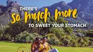 Experience more: Why South Africa is the perfect vacation spot for you and your family