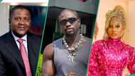 Dangote truck: Verydarkman weighs in on BBNaija Phyna’s ordeal with billionaire’s driver