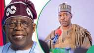 Oronsaye report: Zulum speaks on Tinubu’s plan for Army Varsity, Nigerian Defence Academy