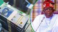Dollar loses title, naira ranks low as report reveals list of world's strongest currencies in 2023