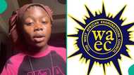 WAEC 2025: Student who checked result through exam portal shares photo of what she saw