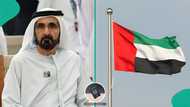 UAE publishes residence permit requirements, announces application fee