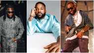 “Once upon a cat”: Nigerians drag Iyanya as singer weighs in on Davido and Burna Boy ‘new cat’ drama