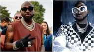 "David like to promote Nigeria": Fans hail singer as he says he makes more money in Africa