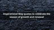80 inspirational May quotes to celebrate the season of growth and renewal