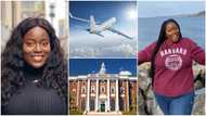 Nigerian lady who left for US through visa lottery gets Harvard admission, lives her American dream