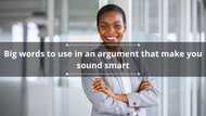 100+ big words to use in an argument that make you sound smart