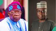 BREAKING: Tinubu appoints acting accountant general, details emerge