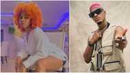 "You go see shege": Many react as Phyna drags Groovy for ignoring her during Saturday night party