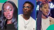 "Coachella": Lady disappointed, shares how crowd allegedly reacted to Wizkid's entrance