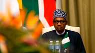 Nigeria’s debt profile hits N2.04 trillion in first quarter of 2022