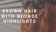 Top 50 styles for brown hair with blonde highlights