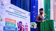 Jubilation as Buhari set to unveil 12-month job fellowship for 20,000 Nigerian graduates