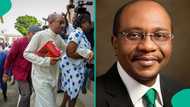 Breaking: Ex-banker opens up on how he allegedly deposited billions in cash for former CBN gov