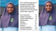 "She made girls proud": Brilliant student scores A1 in 9 WAEC subjects, her photo and result sheet go viral