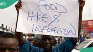 Planned hunger protest: Sudanese cleric warns Nigerians using his country experience