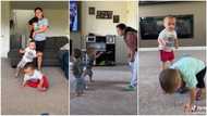 2 babies scatter their house, ready to give mother headache, cute video causes stir