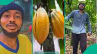 Cocoa farmer rejoices as he inherits large cocoa plantation from his late father