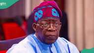 BREAKING: Tinubu vows to fish out perpetrators of Yobe killings