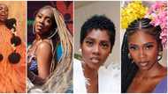 Many shades of Tiwa Savage: 7 beautiful photos show music diva's favourite hairstyles