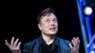 SpaceX fires workers behind letter criticizing Musk