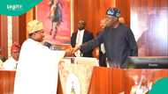 Tinubu advises new INEC chairman what to do: "No election is flawless"