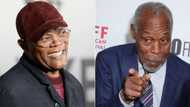 Hollywood's Samuel L Jackson, Danny Glover in line to receive honorary Oscar Awards