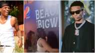 "Peoples' serious girlfriends": Video of ladies locking lips with Wizkid’s poster sparks reactions online