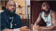 "Baba apply wisdom": Davido's response to the political leader he supported stirs reactions, video trends