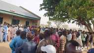 Live results of supplementary governorship elections trickle in from polling units in Adamawa, Kebbi states