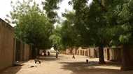 Insurgency: Boko Haram hoists flag in some parts of acting IGP's hometown