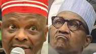 Duk Da NNPP Ta Yi Nasara A Kano Kwankwaso Ya Zargi Buhari Kan Rashin Shirya Zaben Gaskiya