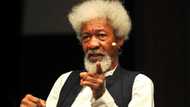 Wole Soyinka ya bayyana wata matsala a Najeriya da zata iya haddasa yakin duniya na 3