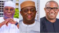 Interim government plot: Fani-Kayode urges DSS to arrest Atiku, Peter Obi, gives reason