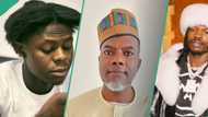 Mohbad: Reno Omokri responds to allegation of collecting money from Naira Marley