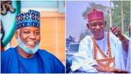 Legit Poll: Nigerians predict who will win 2023 governorship election in Kano state between APC and NNPP