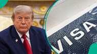 US announces special visa for foreigners who are different from others, lists eligibility