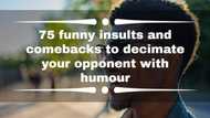 75 funny insults and comebacks to decimate your opponent with humour