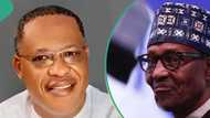 "For the missteps, I am deeply sorry," Rep visits Buhari, seeks pardon of IPOB leader, Nnamdi Kanu