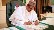 FG, CBN reveals new employment guidelines, gives contract staff a chance to survive working in Nigerian banks