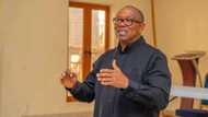 "I must be president of this country," Peter Obi declares