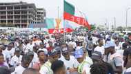 2019: Group condemns assault on APC supporters in Borno