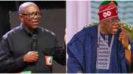 Breaking: Tribunal reserves judgement in Peter Obi’s petition challenging Tinubu's victory