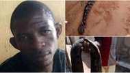 Man bitten by snake dies after being taken to herbalist (photos)