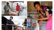 Meat scarcity looms as butchers lament scarcity of cash